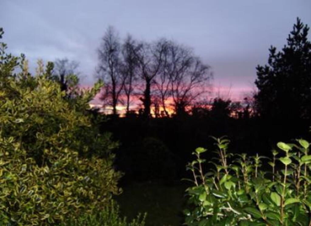 Evening view from the kitchen window