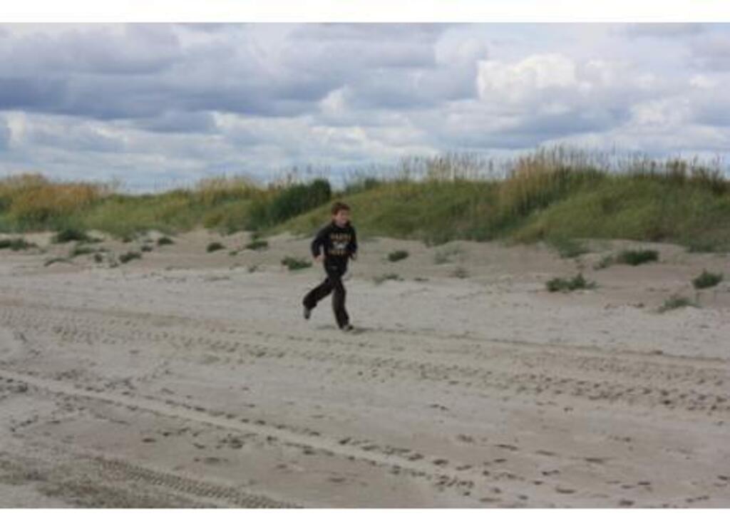 Bull Island