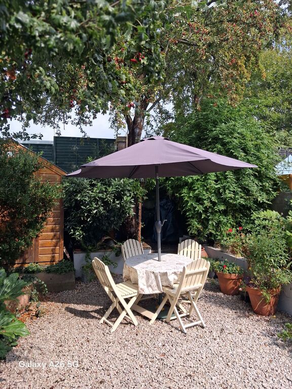 Back Garden