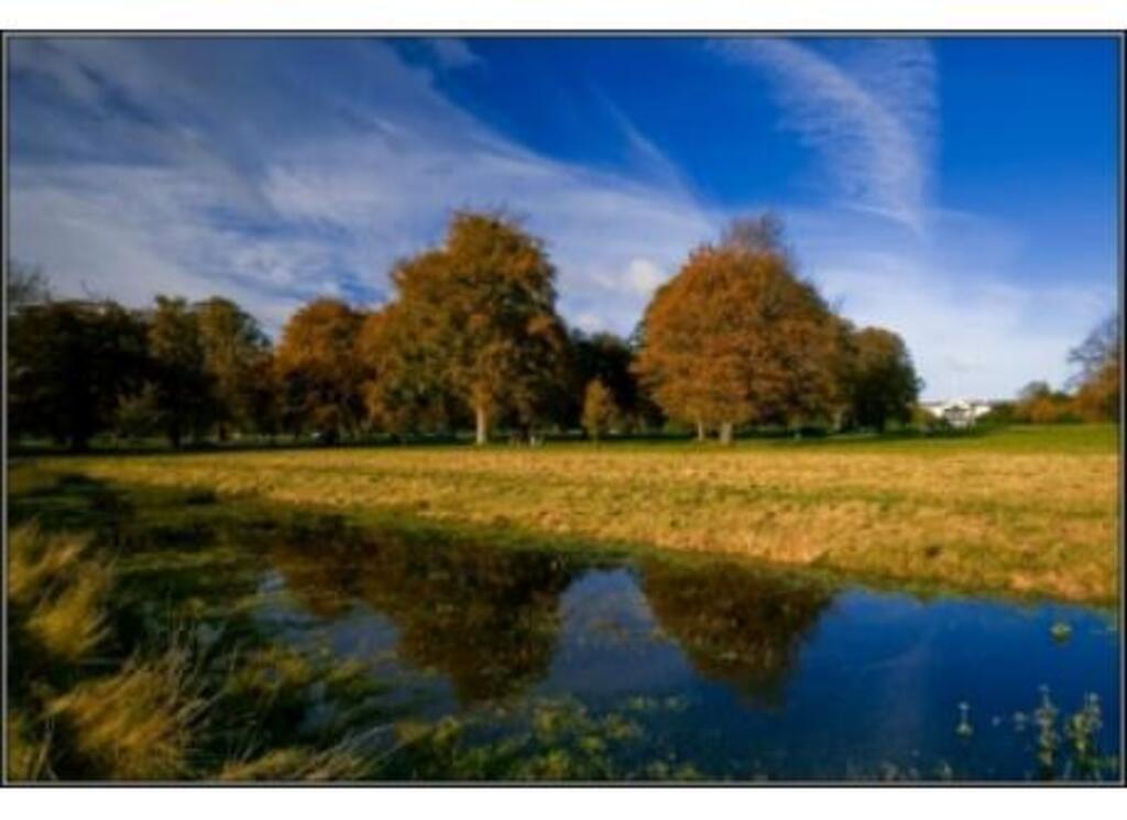 Phoenix Park