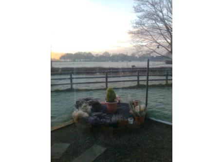 View from back of house