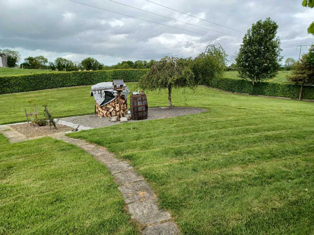 Another spot for the birds to feed