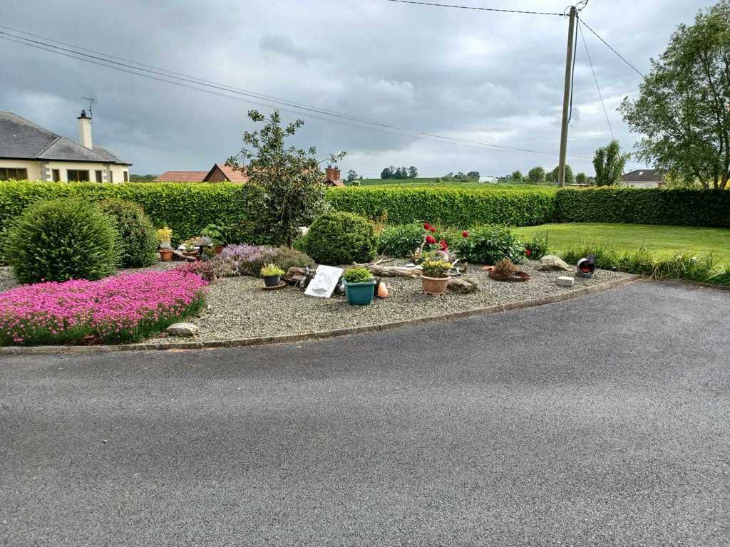 Our front planting area in its hues of pink and purple