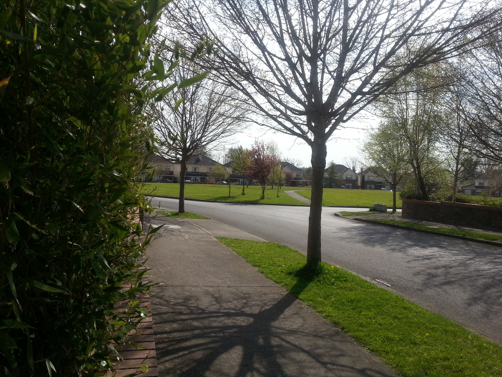 View from front of house