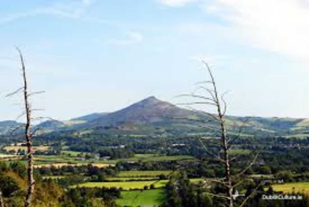 Dublin Mountains