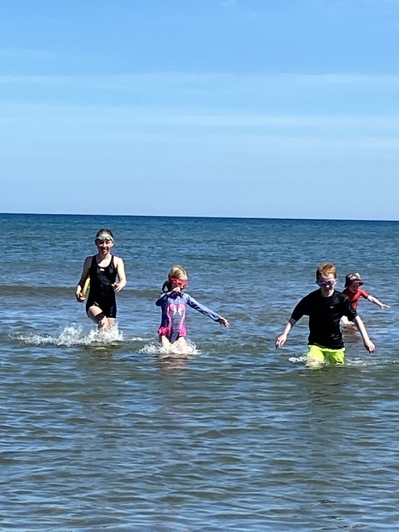 Termonfeckin Beach - 6 miles, Port beach 8 miles