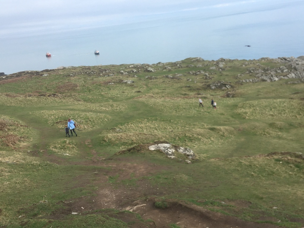 Clogherhead walk and fishing village - 9miles away