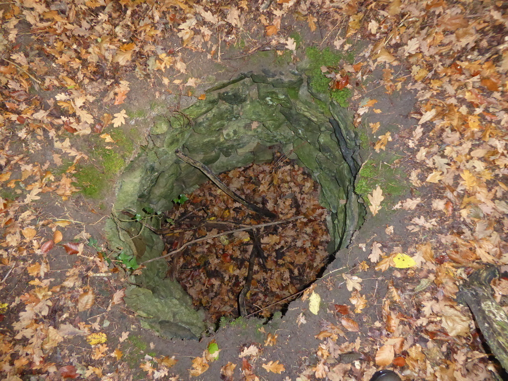 Stone Lined Well Newcastle Woods