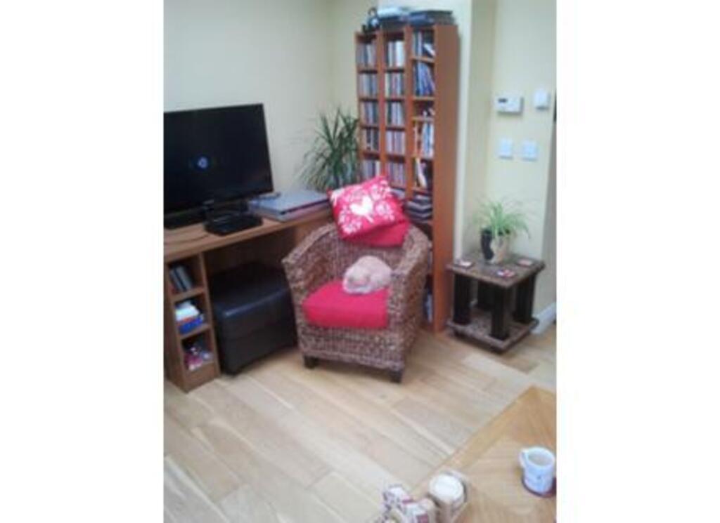 Living Room 1 With Felix