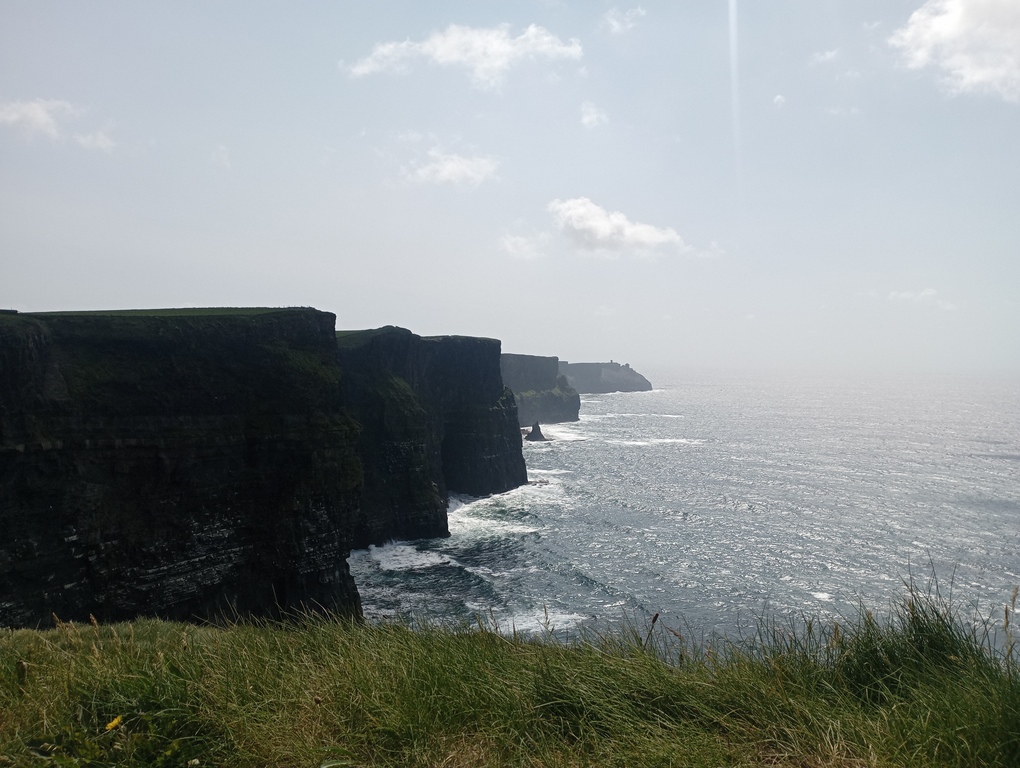 Cliffs of Moher (Burren, Co Clare, June 2025)