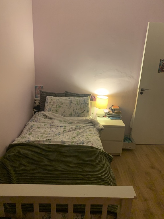 Bedroom 2 (single bed)