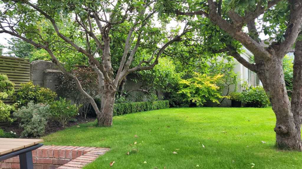 Late spring in the garden