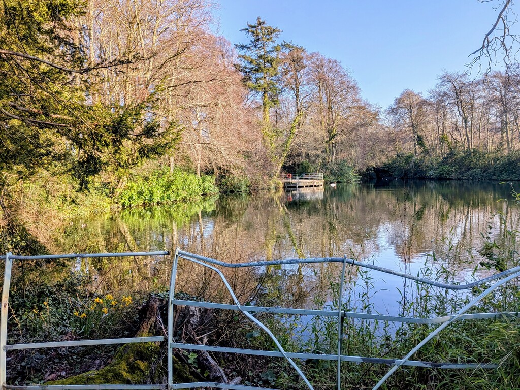 Marlay Park at the end of our street