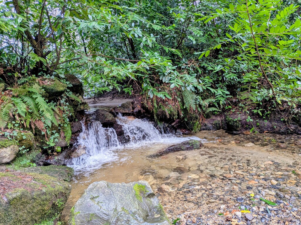 Marlay Park at the end of our street