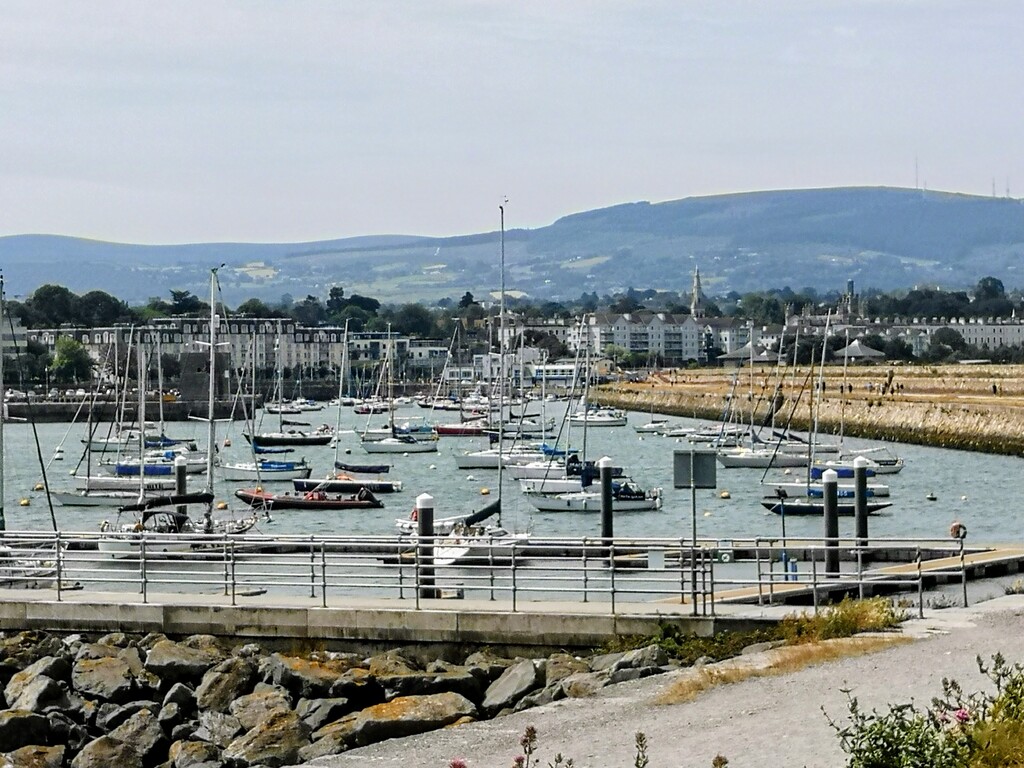 Dun Laoghaire harbour 12 km from our home; accessible by by direct bus from here