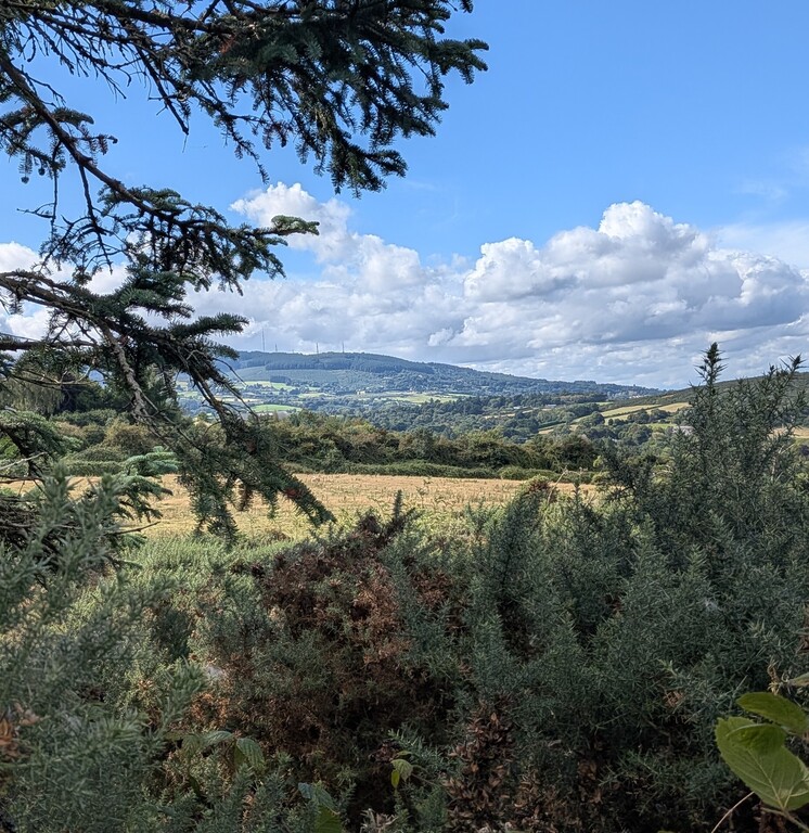 The Dublin hills, about 12 kilometres from our house