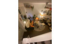 Our Cosy Sitting room with 70s decor. Our dog Seamai will be elsewhere while we travel!