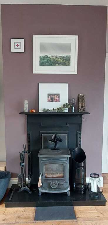 Wood Burning Stove