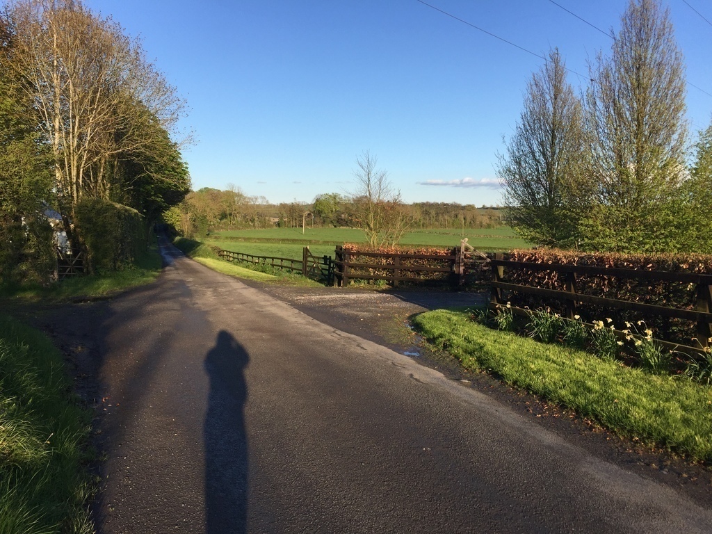 The quiet road at the front of our house