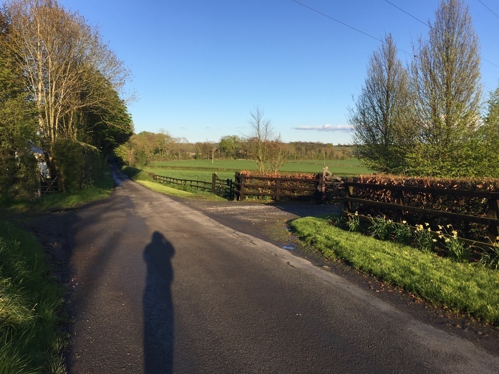 The quiet road at the front of our house