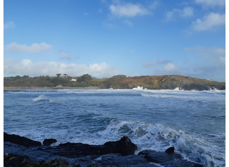 Explore the rugged beauty of West Cork from my home in Rosscarbery .