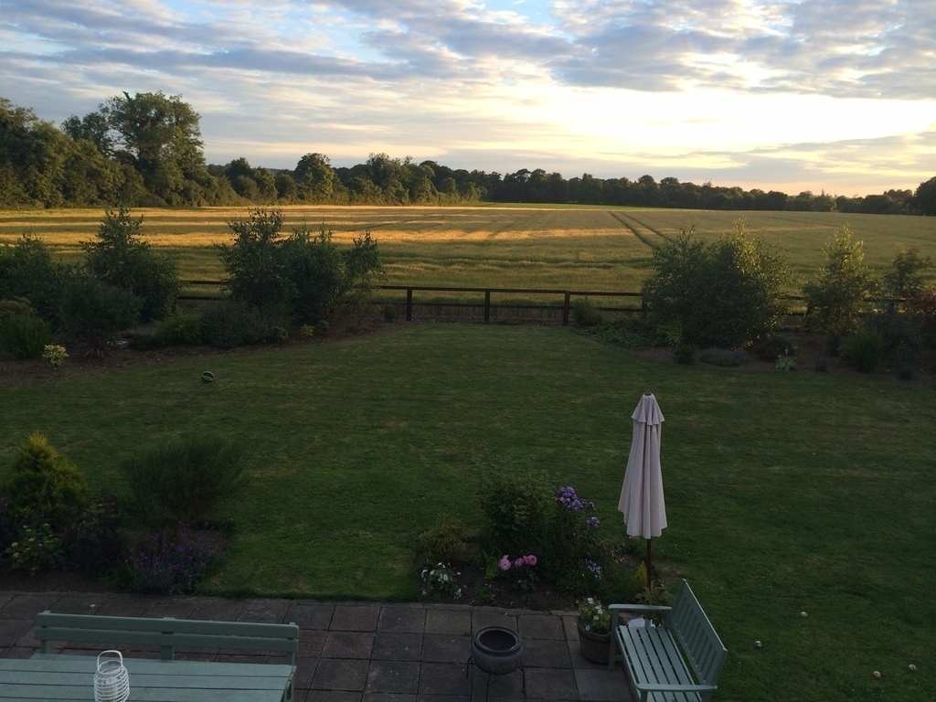 View from back garden
