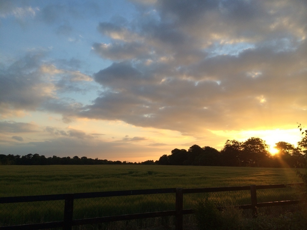 Garden summer sunset