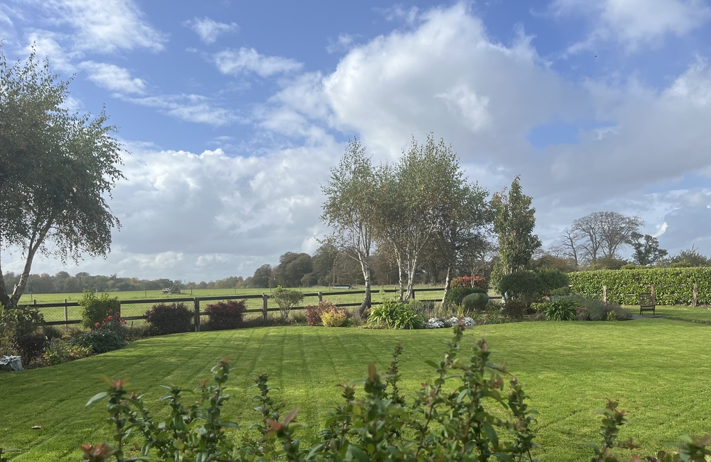 Garden view from house