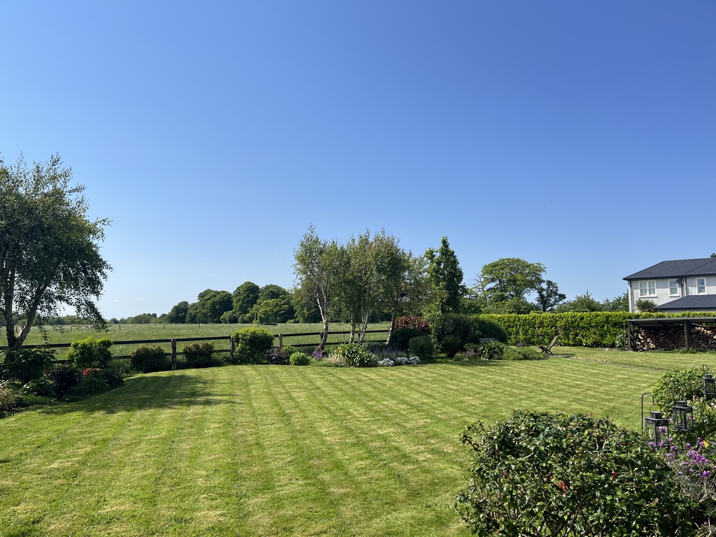 Garden view from house