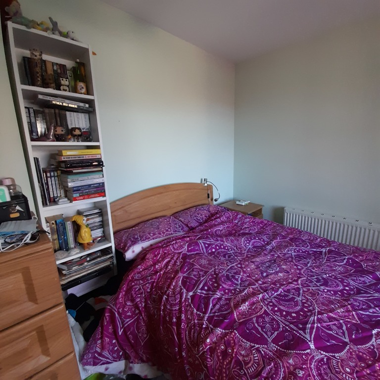 3rd Bedroom (downstairs)