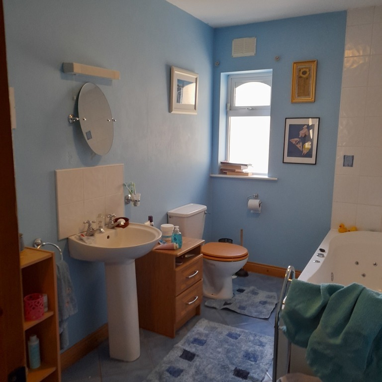 Main bathroom (downstairs)