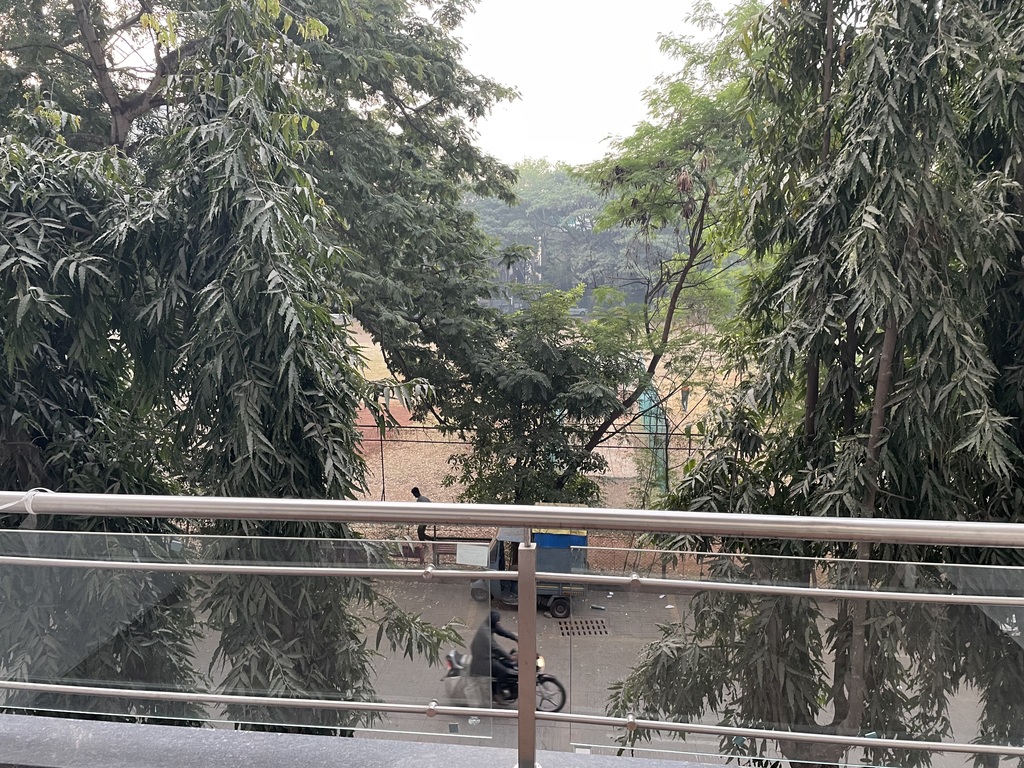 View from the Terrace