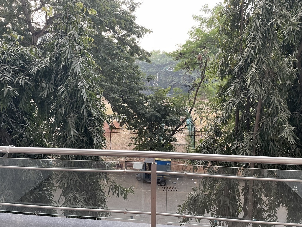 View from the Terrace