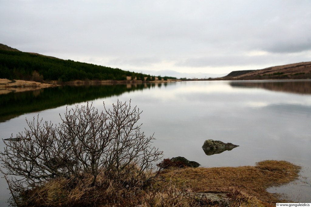 Lake Hvaleyrarvatn