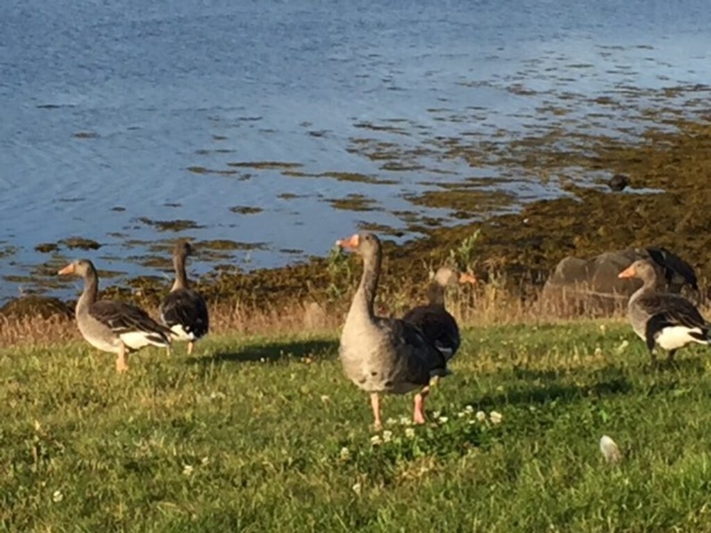 Enjoy a walk by the sea