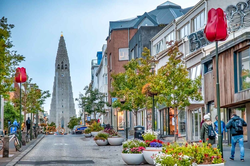 Downtown Reykjavik (10 min walk)