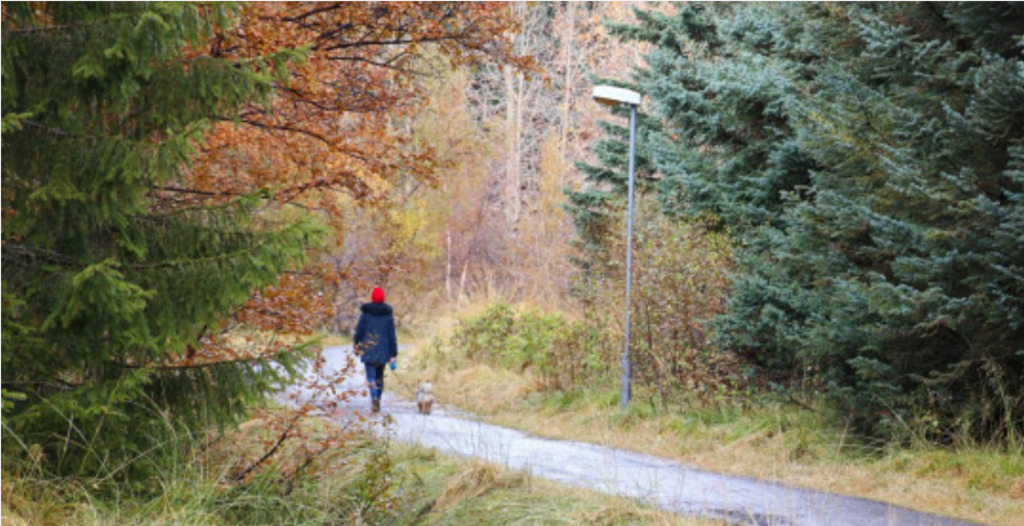Kjarnaskógur, 2 min drive, outdoor and hiking.