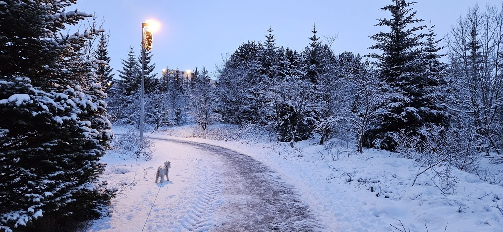 The path behind our house.