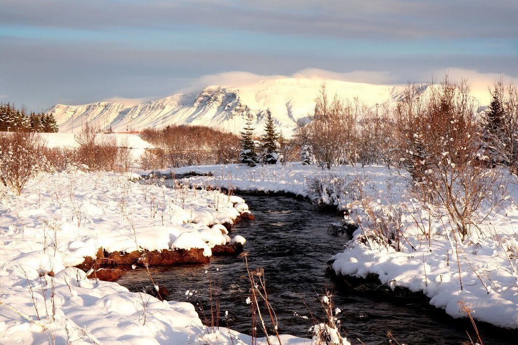 Ellidaardalur nature reserve - 3 minutes walk away