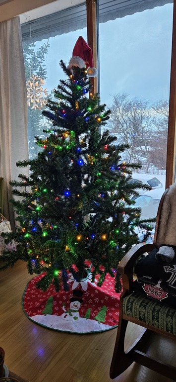 Christmas in the living room.