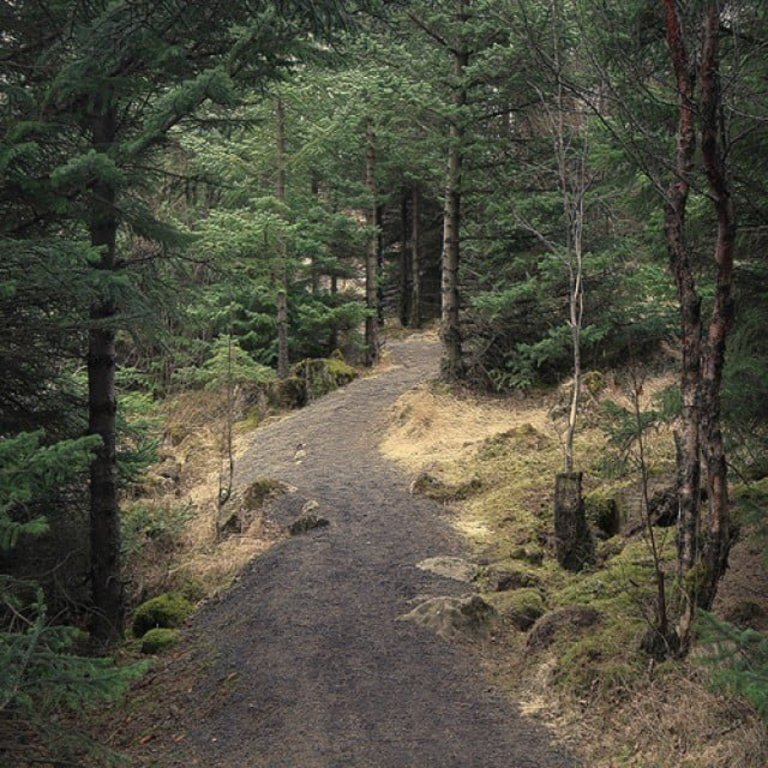 Path in Öskjuhlid where we like to hike from our house