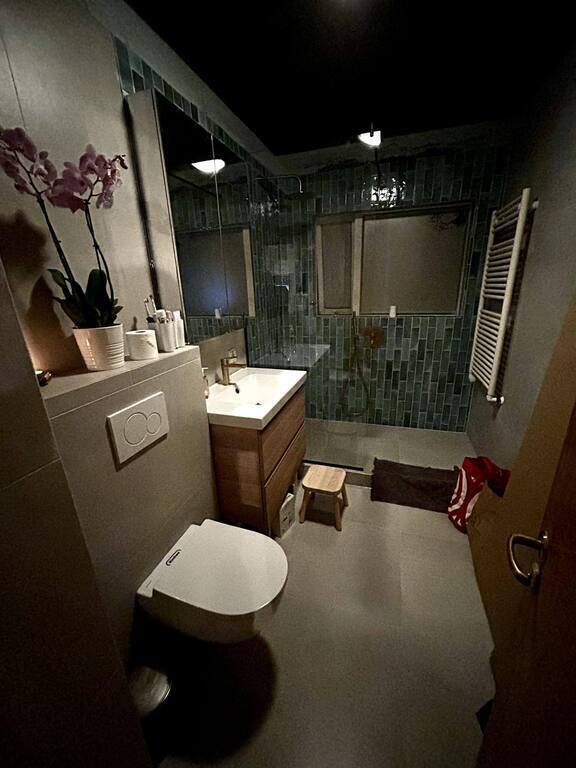 Picture of bathroom in the renovation process. It will be ready in January 2024. We will update photo then.