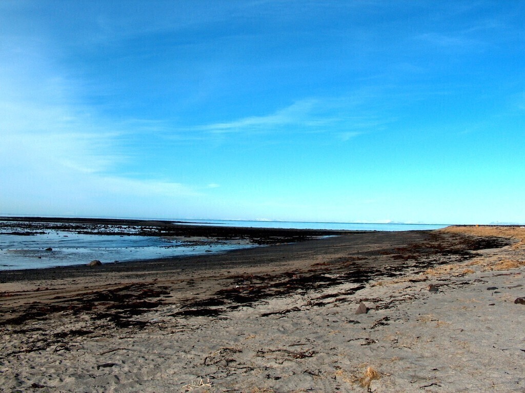 The shore in Álftanes, 3 min walk from home 