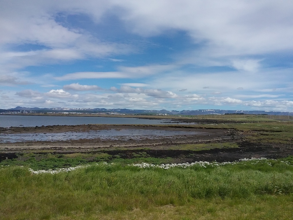 Another shore in Álftanes, view to Reykjavík