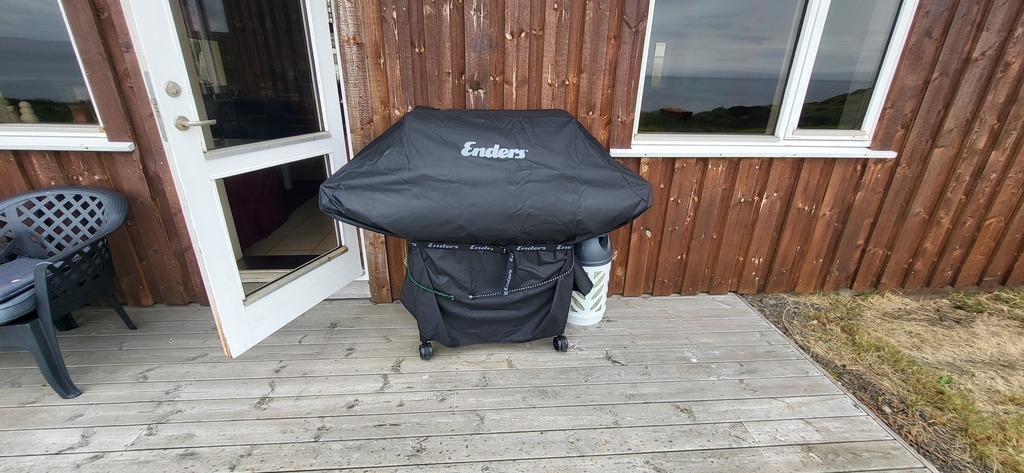 Barbeque on the porch.