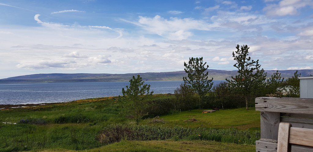 The view from my back yard