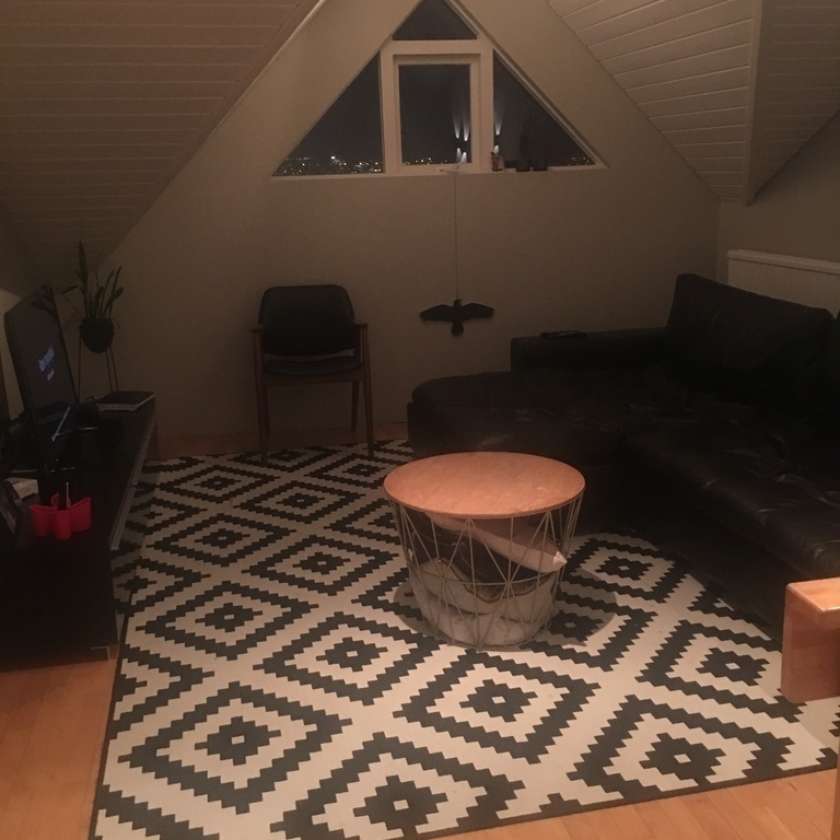 TV room / area, 3rd floor