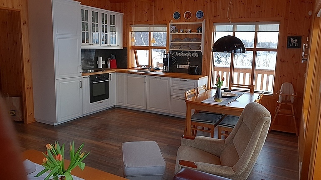 Kitchen and living room