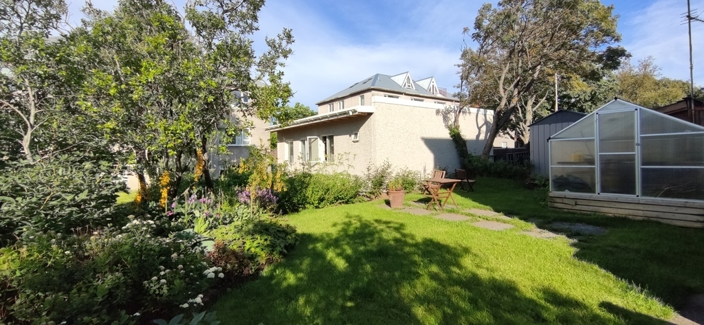 Back yard in July 2022