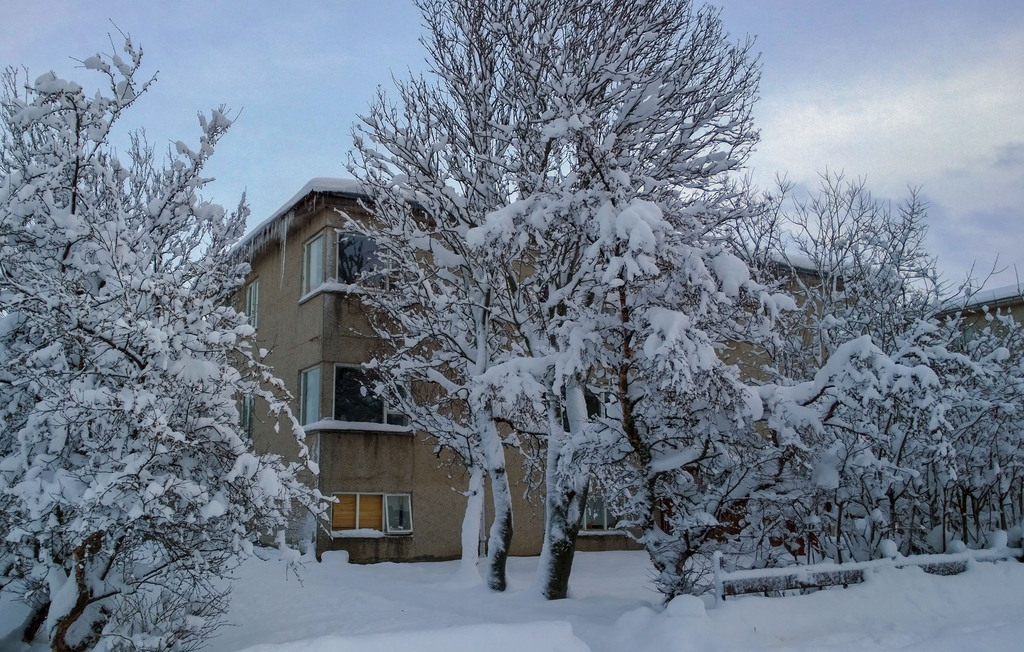 View from the street December 2015